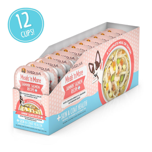 Weruva Meals 'n More Jammin' Salmon Recipe Plus in Pumpkin Soup Wet Dog Food Cup