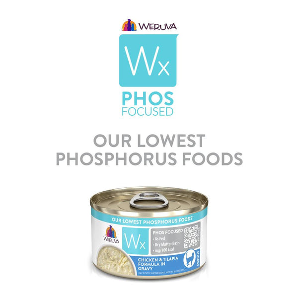 Weruva Wx Phos Focused Chicken & Tilapia Formula in Gravy Wet Cat Food Can