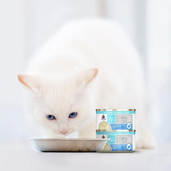 Weruva Wx Phos Focused Chicken & Tilapia Formula in Gravy Wet Cat Food Can