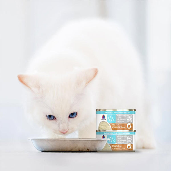 Weruva Wx Phos Focused Chicken Formula in a Hydrating Puree Wet Cat Food Can