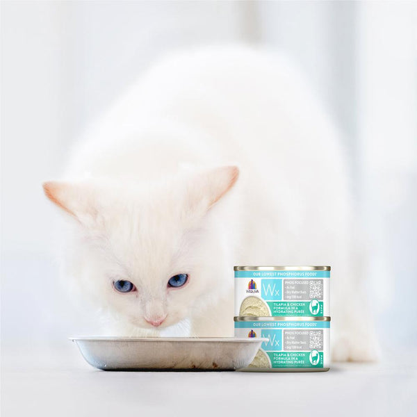 Weruva Wx Phos Focused Tilapia & Chicken Formula in a Hydrating Puree Wet Cat Food Can