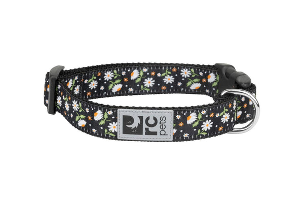 RC Pets Clip Dog Collar, Daisies