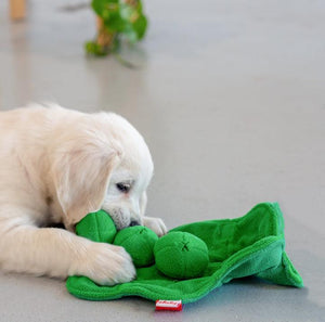 Injoya Pea Pod Snuffle Mat Feeder Dog Toy