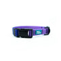 Woof Concept Waterproof Dog Collar, Empress