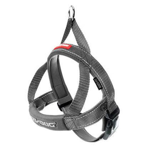 EzyDog Quick Fit Dog Harness, Grey