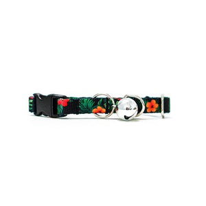 Woof Concept Cat Collar, Maui