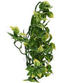 Exo Terra Amapallo Jungle Terrarium Plant