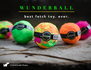 WACKYwalk'r WUNDERBALL Fetch Dog Toy, Color Varies