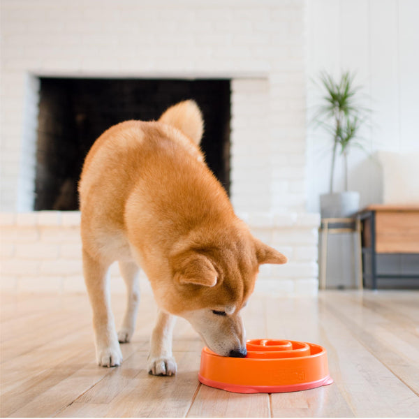 Outward Hound Fun Feeder Slo Bowl Dog Slow Feeder, Orange