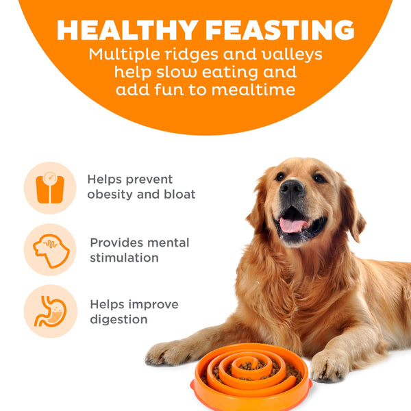 Outward Hound Fun Feeder Slo Bowl Dog Slow Feeder, Orange