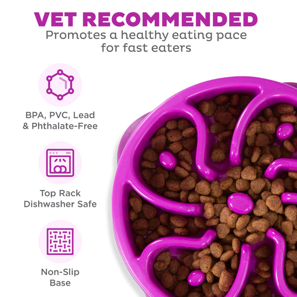Outward Hound Fun Feeder Slo Bowl Gamelle lente pour chien, Violet