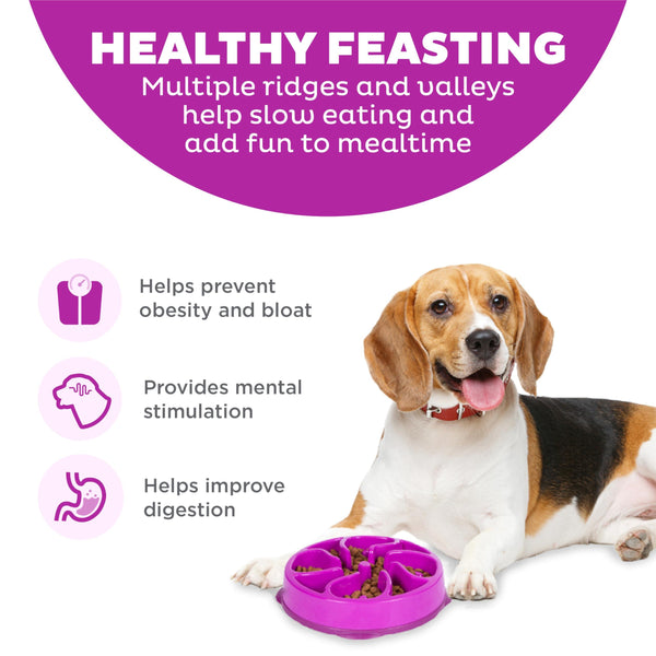 Outward Hound Fun Feeder Slo Bowl Gamelle lente pour chien, Violet