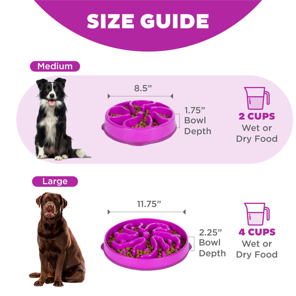 Outward Hound Fun Feeder Slo Bowl Gamelle lente pour chien, Violet