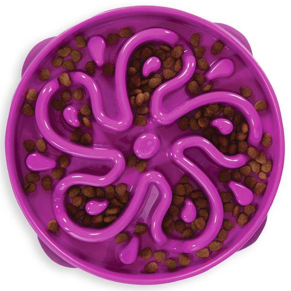 Outward Hound Fun Feeder Slo Bowl Gamelle lente pour chien, Violet