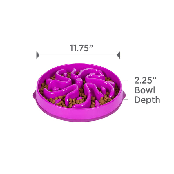 Outward Hound Fun Feeder Slo Bowl Gamelle lente pour chien, Violet
