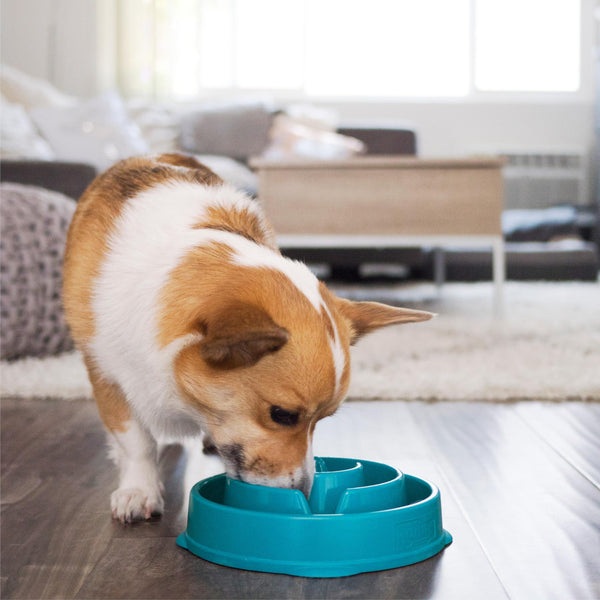 Outward Hound Fun Feeder Slo Bowl Dog Slow Feeder, Turquoise