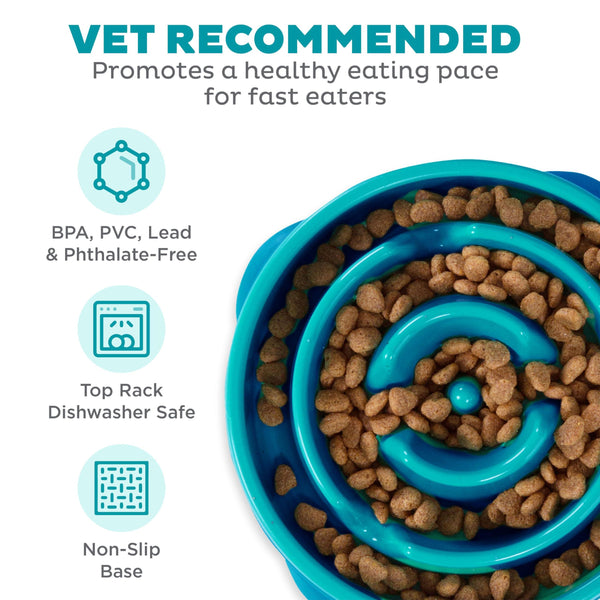 Outward Hound Fun Feeder Slo Bowl Dog Slow Feeder, Turquoise