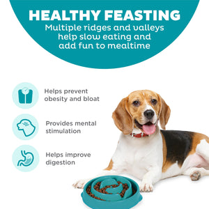 Outward Hound Fun Feeder Slo Bowl Dog Slow Feeder, Turquoise
