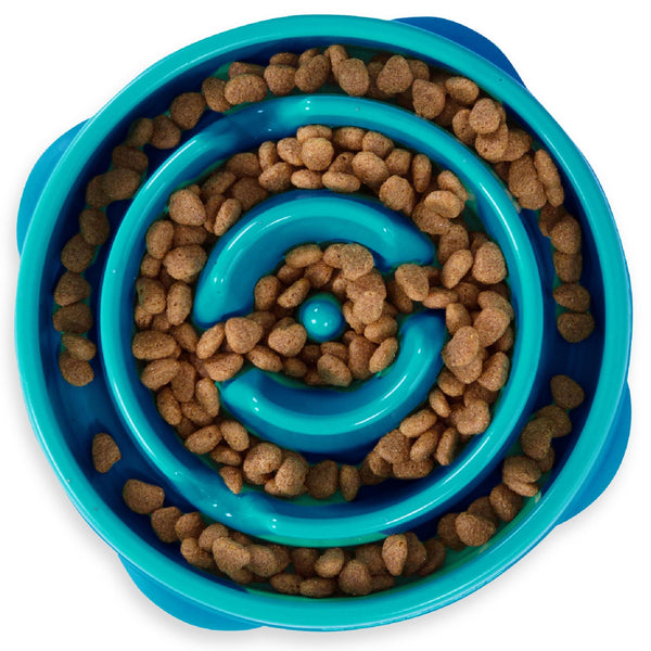 Outward Hound Fun Feeder Slo Bowl Dog Slow Feeder, Turquoise