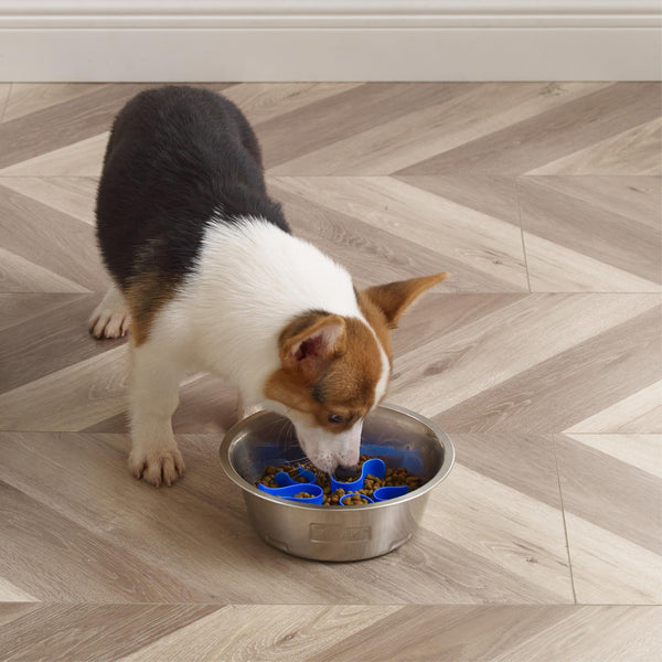 Outward Hound Fun Feeder Slo Bowl Dog Slow Feeder, Stainless Steel