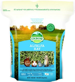 Oxbow Alfalfa Hay Small Animal Food