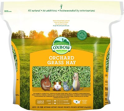 Oxbow Orchard Grass Hay Small Animal Food