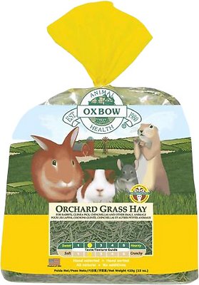 Oxbow Orchard Grass Hay Small Animal Food