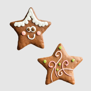 Gâteries pour chiens Biscuit étoile pain d'épice de Bosco & Roxy