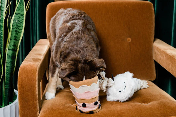 Injoya Boba Time Snuffle Mat Dog Toy