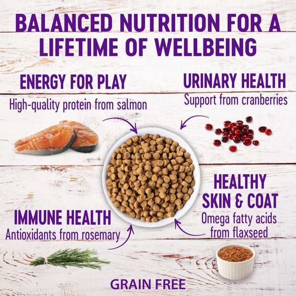Wellness Complete Health Grain-Free Indoor Salmon & Herring Dry Cat Food
