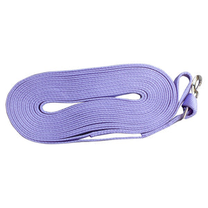 Shedrow K9 Long Dog Lead, Purple