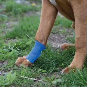 Shedrow K9 Flexwrap pour animaux, violet