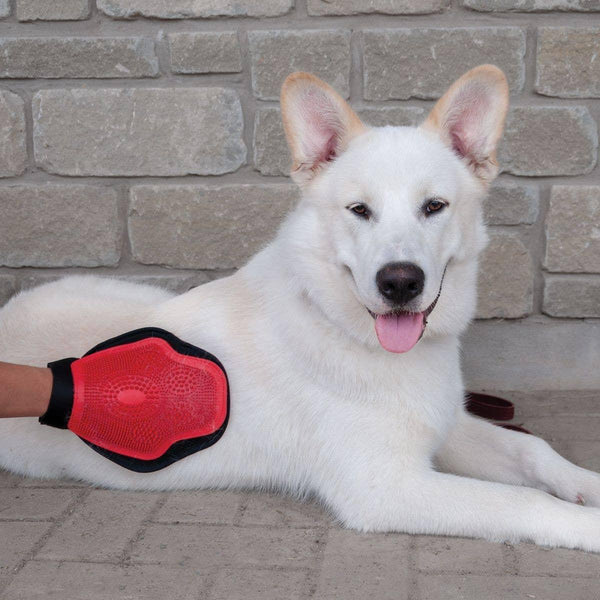 Shedrow K9 Gant de toilettage pour animaux, rouge/noir, taille unique