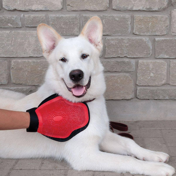 Shedrow K9 Gant de toilettage pour animaux, rouge/noir, taille unique