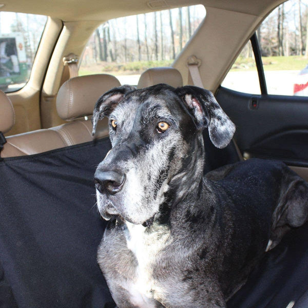 Shedrow K9 Housse de hamac pour animaux, noir