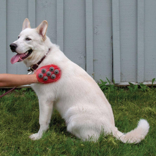 Shedrow K9 Jelly Scrubber magnétique outil de toilettage pour animaux, rouge, taille unique