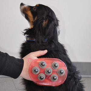 Shedrow K9 Jelly Scrubber magnétique outil de toilettage pour animaux, rouge, taille unique