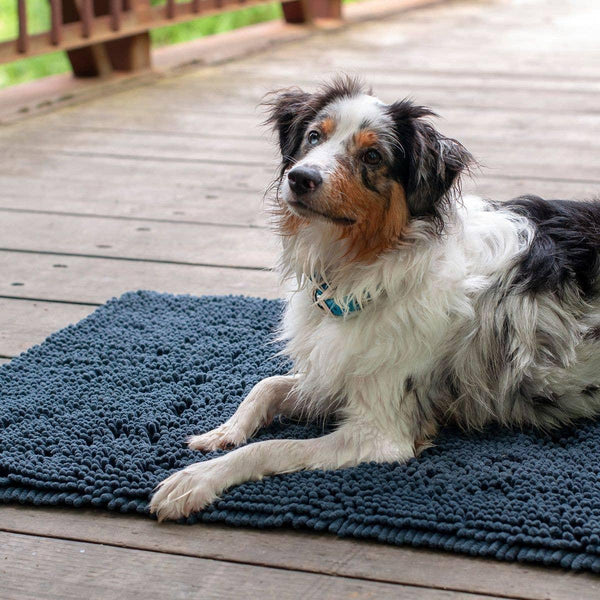 Shedrow K9 Tapis boue pour chien, gris