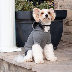 Shedrow K9 Sweat à capuche pour chien Brentwood, Gris