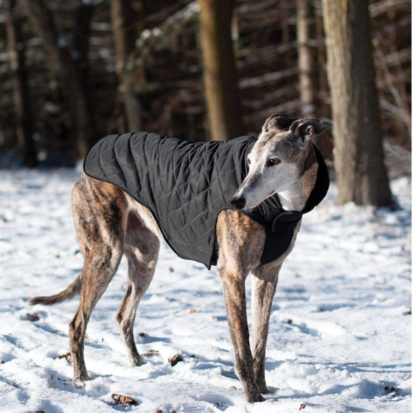 Shedrow K9 Brentwood Quilted Dog Coat, Black
