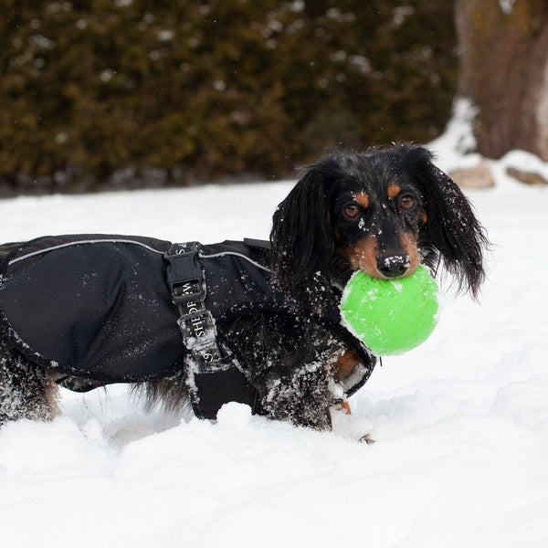 Shedrow K9 Manteau pour chien Chinook, Noir