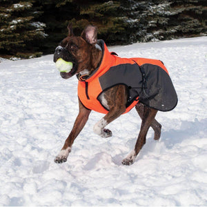 Shedrow K9 Chinook Dog Coat, Neon Orange/Grey