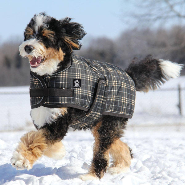 Shedrow K9 Manteau Glacier pour chien, Carreaux marron