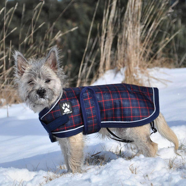 Shedrow K9 Manteau Glacier pour chien, Carreaux marine