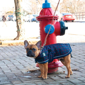 Shedrow K9 Manteau Glacier pour chien, Carreaux marine
