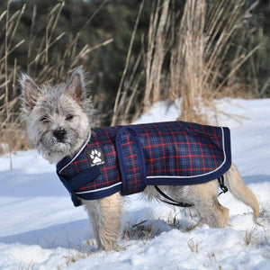 Shedrow K9 Manteau Glacier pour chien, Carreaux marine