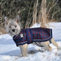 Shedrow K9 Manteau Glacier pour chien, Carreaux marine