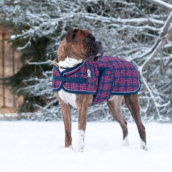 Shedrow K9 Manteau Glacier pour chien, Géométrique marine et rouge