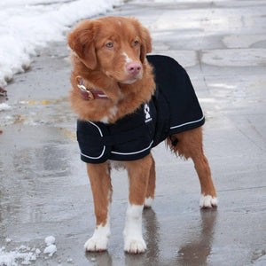 Shedrow K9 Harbour Dog Rain Jacket, Black