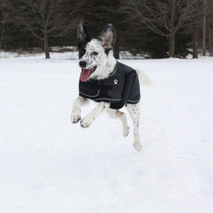 Shedrow K9 Manteau pour chien Toundra, noir